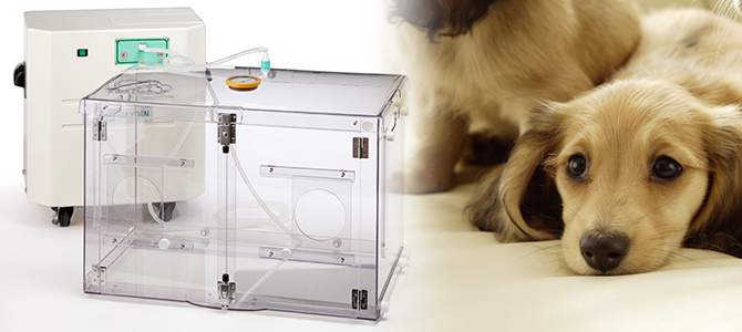 ペット用酸素室 - 犬